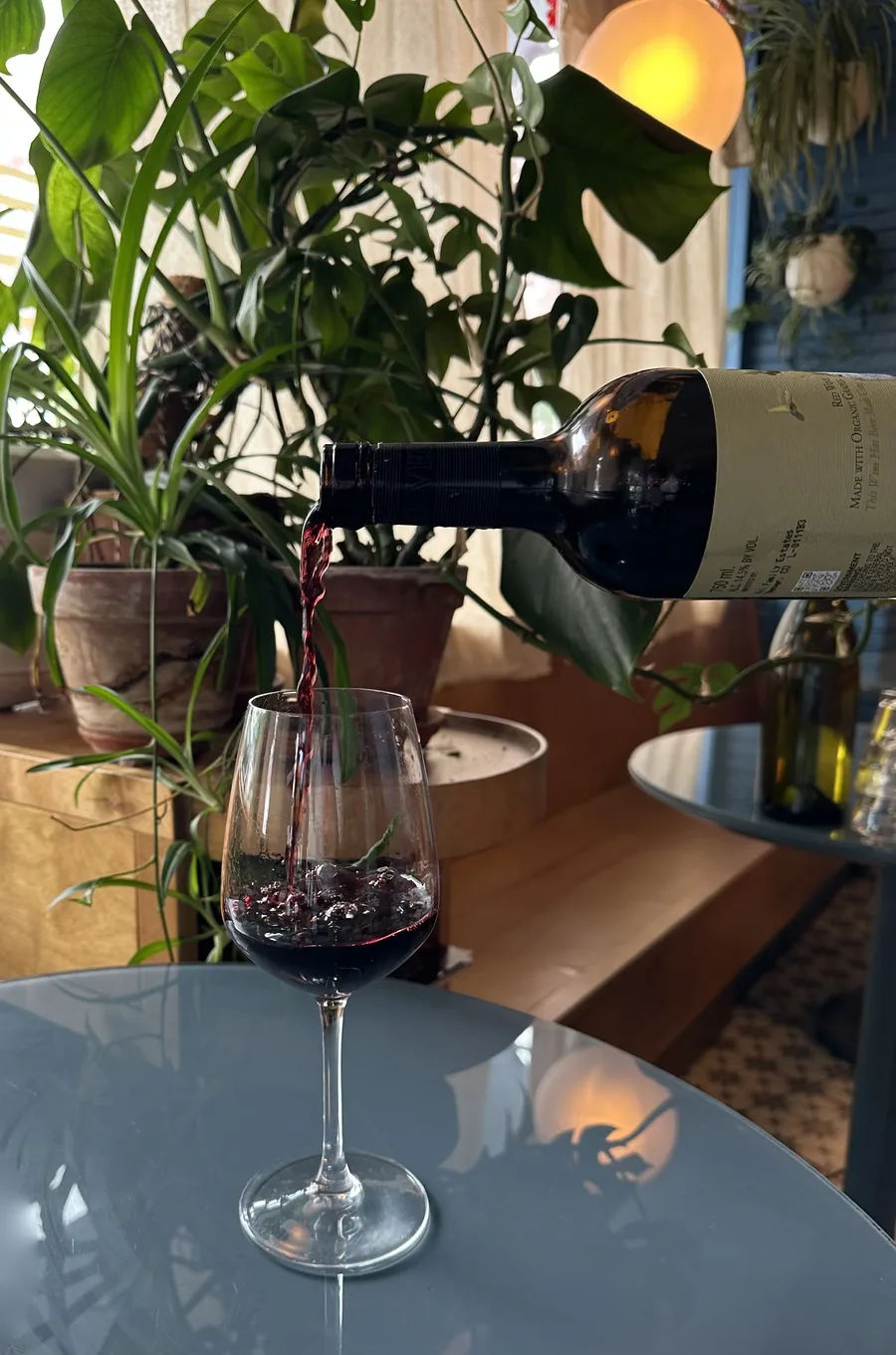 Red wine poured into a glass among potted plants in the café